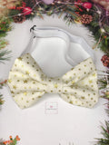 Gold stars bow tie and clip